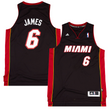 LeBron James Miami Heat Jersey - Jersey and Sneakers