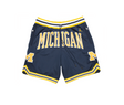 University of Michigan Basketball Shorts (Navy Blue) - Jersey and Sneakers