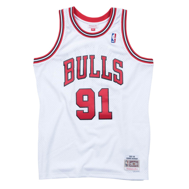 Dennis Rodman Chicago Bulls Jersey - Jersey and Sneakers